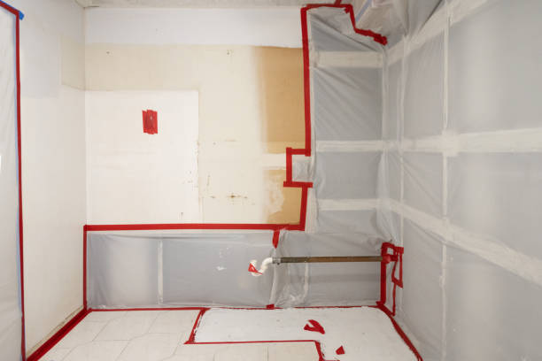 Best Mold Odor Removal Services  in Northeast Ithaca, NY