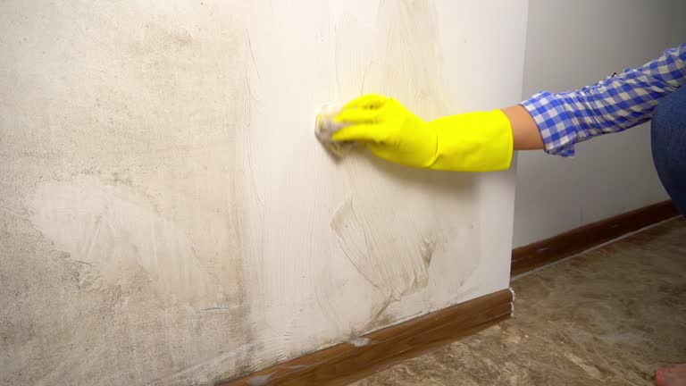 Mold Removal for HVAC Installations in Northeast Ithaca, NY
